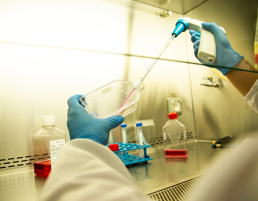 Biotekniikka ja lääketeollisuus